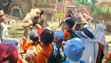 sd muhammadiyah 1 ketelan
