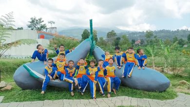 sd muhammadiyah pk