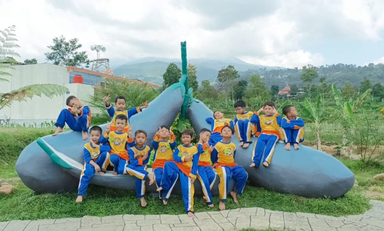 sd muhammadiyah pk