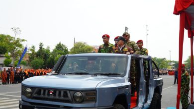 Menteri Koordinator Pangan