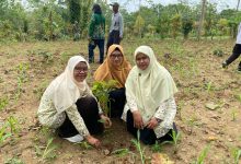 PDNA Banyumas