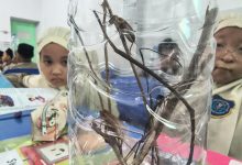 laboratorium mini
