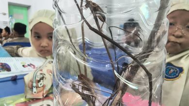 laboratorium mini