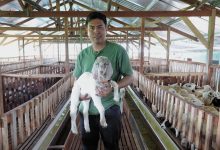 Mahasiswa TMU peternak kambing