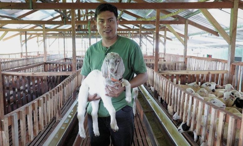 Mahasiswa TMU peternak kambing