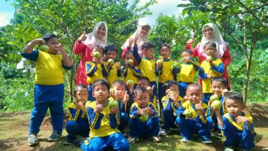 Anak-anak TK Aisyiyah 04 Jepara menanam bibit di polybag pada Outing Class 2025 di Bhumi Aryandhi Senenan