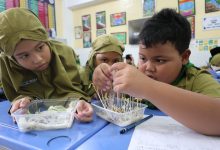 sd muhammadiyah palur