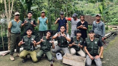 Mahasiswa KKN UMUKA bersama peternak Gapoktan Sapto Tunggal Desa Bangsri dalam kegiatan penanaman tanaman pakan ternak unggul.