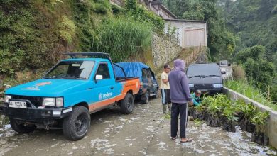 Tim MDMC menyiapkan bibit kopi arabika di kawasan lereng Dusun Tempel, Selo, Boyolali, sebagai bagian dari program mitigasi longsor dan pemberdayaan ekonomi warga.