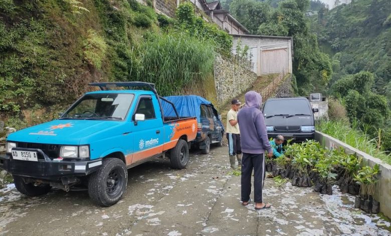 Tim MDMC menyiapkan bibit kopi arabika di kawasan lereng Dusun Tempel, Selo, Boyolali, sebagai bagian dari program mitigasi longsor dan pemberdayaan ekonomi warga.