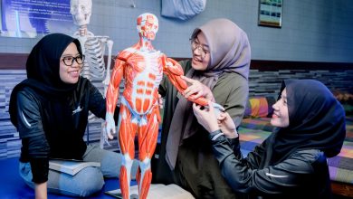 Mahasiswa Fisioterapi UMS mempraktikkan pembelajaran anatomi menggunakan model otot tubuh manusia di ruang laboratorium.