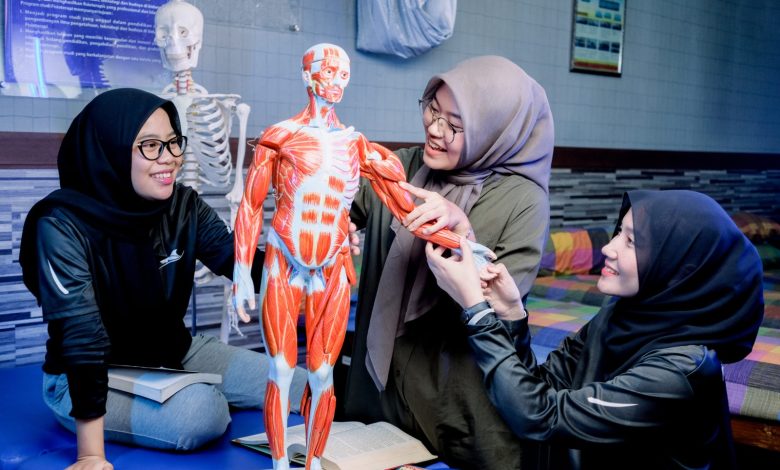 Mahasiswa Fisioterapi UMS mempraktikkan pembelajaran anatomi menggunakan model otot tubuh manusia di ruang laboratorium.