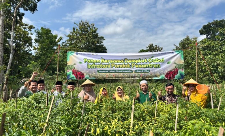 Panen perdana demplot cabai PPMTQ Al Ijtihad Sirau bersama perwakilan Bank Indonesia dan tamu undangan di lahan wakaf Muhammadiyah, Kemranjen, Banyumas, Rabu (15/4/2026).