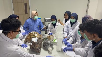 Mahasiswa Fakultas Kedokteran UMP mengikuti praktik pembuatan jamu saintifikasi bersama dosen di Laboratorium Herbal.