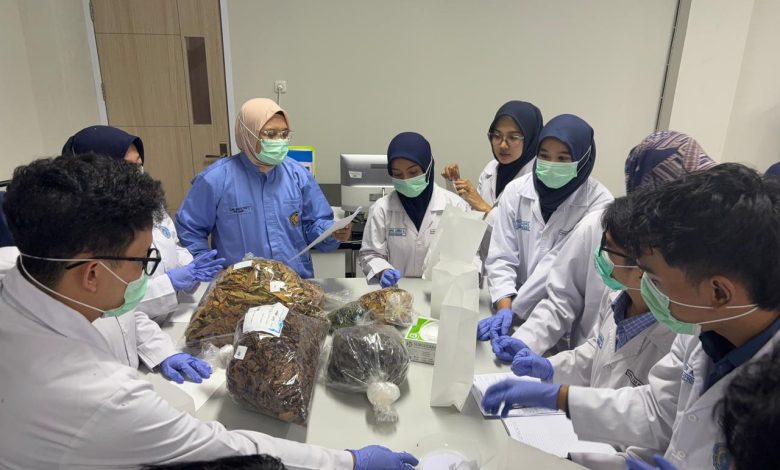 Mahasiswa Fakultas Kedokteran UMP mengikuti praktik pembuatan jamu saintifikasi bersama dosen di Laboratorium Herbal.