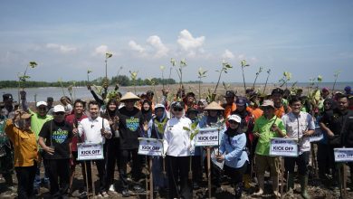 Perwakilan UMS Yasir Sidiq bersama relawan menanam bibit mangrove di Pantai Jomblom Kendal.
