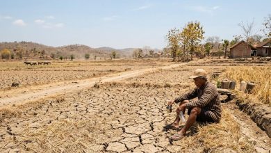 Prof. Dr. Kuswaji Dwi Priyono, M.Si, Pakar Geografi UMS menjelaskan dampak El Nino Godzilla bagi Indonesia.