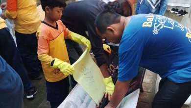 Siswa kelas 5 sedang praktik belajar membatik tahap pewarnaan atau mbabar menggunakan larutan warna di Pendopo Gemah Semilir.