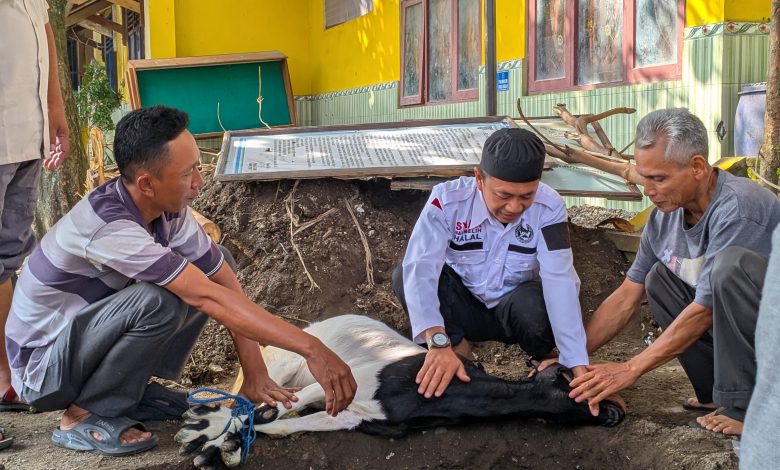 Tiga orang pria, termasuk seorang Juru Sembelih Halal, sedang menahan seekor kambing kurban di pinggir liang tanah dalam persiapan prosesi penyembelihan yang sesuai syariat.