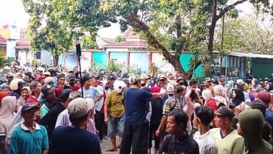 Foto kerumunan warga Kalinyamatan, Jepara, yang antusias mengantri dan berkumpul untuk menerima pembagian daging qurban Idul Adha secara gratis di halaman masjid/mushola, menunjukkan suasana penuh semangat tanpa kupon.