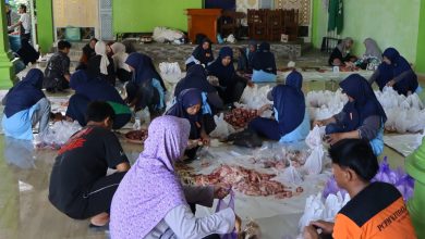 Ratusan relawan dan panitia bergotong royong melakukan pengemasan daging kurban muhammadiyah 2026 ke dalam paket plastik di selasar Kompleks Masjid Darussalam Kutoarjo.