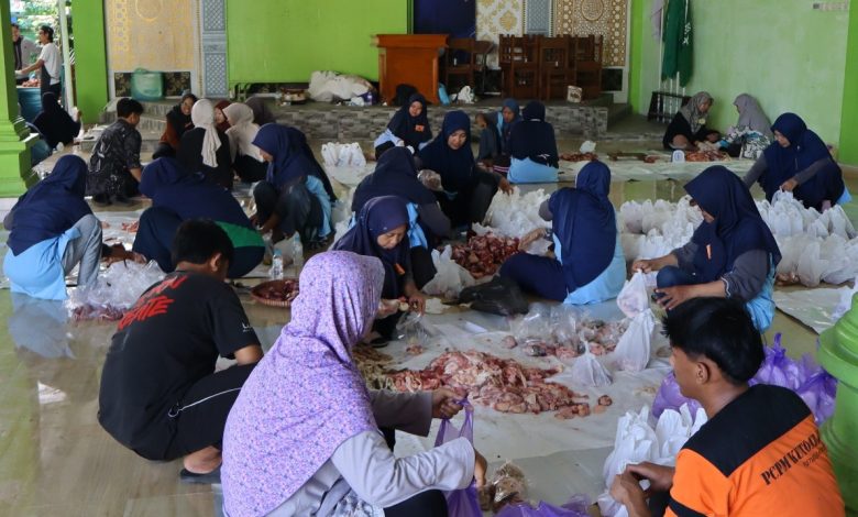 Ratusan relawan dan panitia bergotong royong melakukan pengemasan daging kurban muhammadiyah 2026 ke dalam paket plastik di selasar Kompleks Masjid Darussalam Kutoarjo.