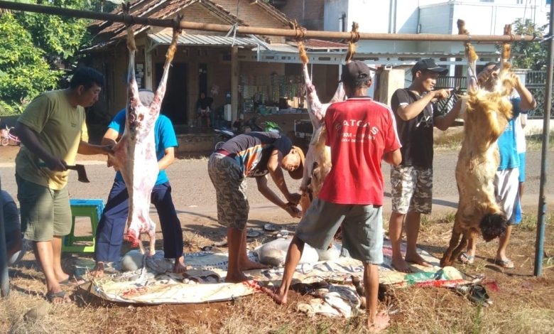 Sekelompok warga di Desa Dermolo, Jepara, bergotong-royong menguliti dan membersihkan karkas hewan kurban yang digantung pada tiang bambu saat perayaan Iduladha 1447 H. Gambar menunjukkan aktivitas penyembelihan kurban di pinggir jalan dengan latar belakang perumahan warga.