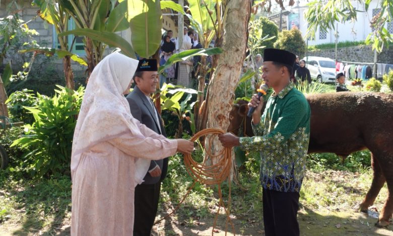 Rektor UNIMMA Dr Lilik Andriyani menyerahkan tali pengikat sapi kurban secara simbolis kepada perwakilan warga di Kecamatan Pakis Magelang.