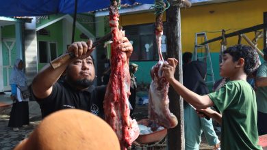 Santri Perguruan Muhammadiyah Bayan belajar memotong daging kurban bersama panitia sebagai wujud pendidikan karakter anak islam.