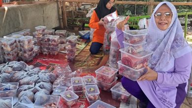 Dua orang panitia perempuan sedang menata tumpukan wadah thinwall transparan berisi daging qurban ramah lingkungan di Masjid Al Raudhoh Kedung Cino Jepara.
