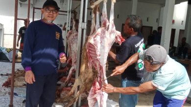Proses penyembelihan dan pengulitan kurban DAM jemaah haji KBIHU Al Mabrur di Cilacap.