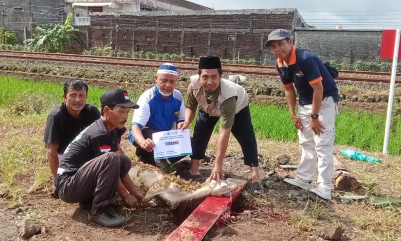 Lima orang pria sedang mendokumentasikan proses penyembelihan hewan kurban di dekat area persawahan dan jalur kereta api, salah satunya memegang papan nama penerima kurban bernama Sudarno.