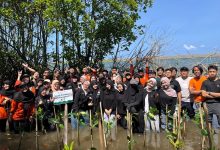 Sekelompok mahasiswa yang tergabung dalam kader HW UMS dan peserta EcoJourney 2026 sedang berfoto bersama setelah aksi penanaman mangrove di Pantai Baros.