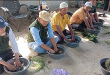 Puluhan petani lokal Boyolali sedang mempraktikkan cara membuat Biosaka dengan meremas dedaunan hijau di dalam baskom berisi air.