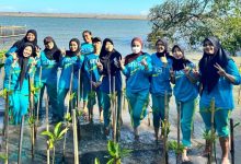 Mahasiswa UNISA Yogyakarta menanam bibit mangrove di kawasan pesisir Pantai Baros Bantul untuk mencegah abrasi.