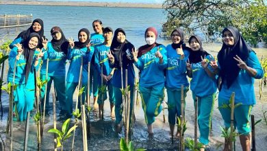 Mahasiswa UNISA Yogyakarta menanam bibit mangrove di kawasan pesisir Pantai Baros Bantul untuk mencegah abrasi.