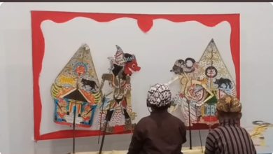 Dalang cilik berbakat Naufal Absana Putra sedang memainkan wayang kulit lakon Gatotkaca Jedhi di Pekalongan.