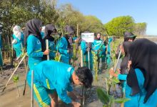 Mahasiswa UNISA Yogyakarta menanam bibit mangrove di Pantai Baros, Bantul, sebagai bagian dari Project Fikih Hijau.
