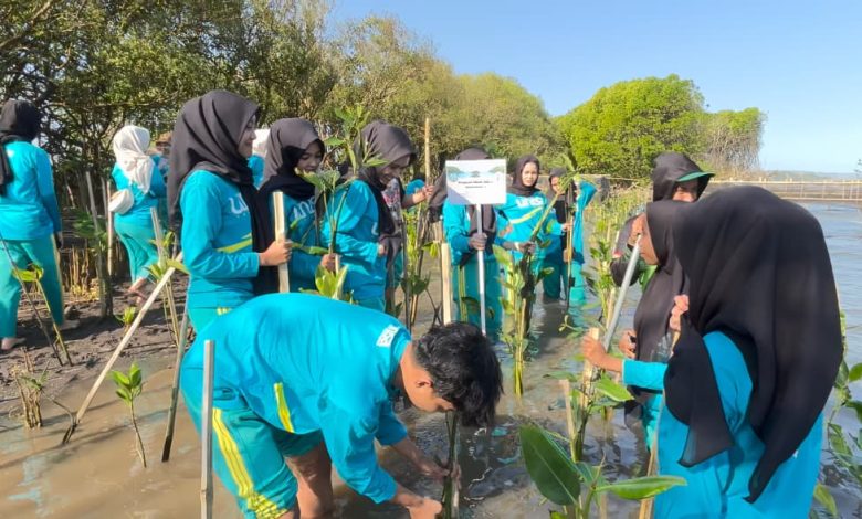 Mahasiswa UNISA Yogyakarta menanam bibit mangrove di Pantai Baros, Bantul, sebagai bagian dari Project Fikih Hijau.