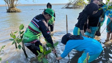 Mahasiswa UNISA Yogyakarta melakukan aksi pelestarian ekosistem mangrove dengan menanam bibit pohon di Pantai Baros untuk mencegah abrasi.
