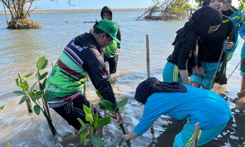 Mahasiswa UNISA Yogyakarta melakukan aksi pelestarian ekosistem mangrove dengan menanam bibit pohon di Pantai Baros untuk mencegah abrasi.
