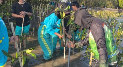 Mahasiswa UNISA Yogyakarta sedang menanam bibit pohon mangrove di area lumpur Pantai Baros sebagai aksi nyata Project Fikih Hijau.