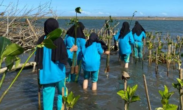 Mahasiswa UNISA Yogyakarta melakukan penanaman bibit mangrove di Pantai Baros sebagai aksi Fikih Hijau.