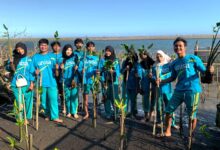 Sekelompok mahasiswa Universitas 'Aisyiyah (UNISA) Yogyakarta mengenakan kaus biru memegang bibit mangrove saat melakukan aksi penanaman di kawasan pesisir Pantai Baros Bantul untuk hadapi krisis iklim.