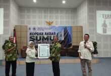 Bunga hortensia biru yang mekar dengan kelopak padat di tengah dedaunan hijau.