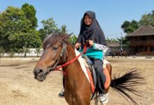 Siswi SMP Ahmad Dahlan Sukoharjo sedang mencoba olahraga berkuda dalam rangkaian kegiatan MPLS Ramah Anak di Al Birru Stable.