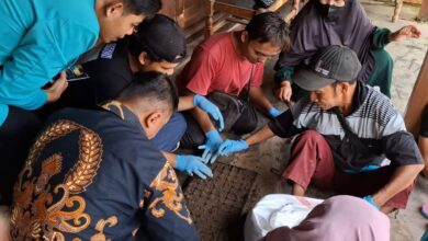 Sekelompok orang mengenakan sarung tangan karet sedang bekerja sama melakukan proses pembibitan tanaman di dalam nampan persemaian.