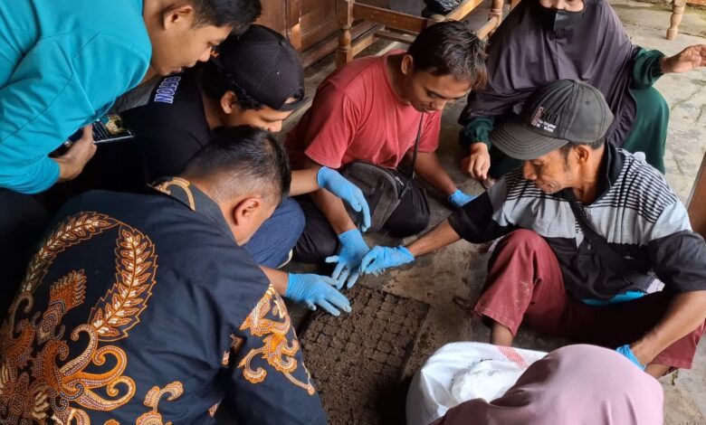 Sekelompok orang mengenakan sarung tangan karet sedang bekerja sama melakukan proses pembibitan tanaman di dalam nampan persemaian.