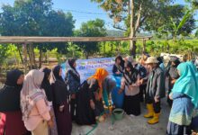 Dosen STEM Cilacap mendampingi ibu-ibu KWT Karangjengkol mempraktikkan cara membuat pupuk organik cair dari limbah kotoran hewan di sebuah tong plastik besar.