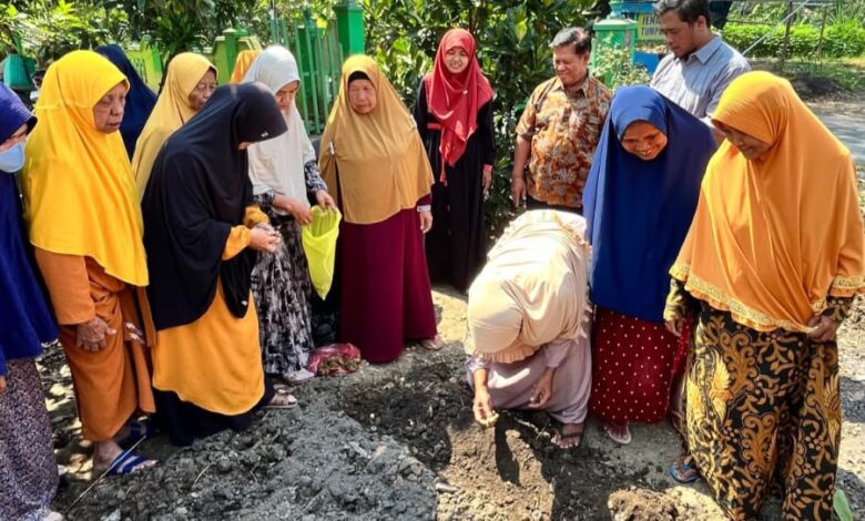Praktik penanaman bibit tanaman obat keluarga oleh warga KWT dan PKK Desa Potronayan bersama tim pengabdi Farmasi UMS Boyolali
